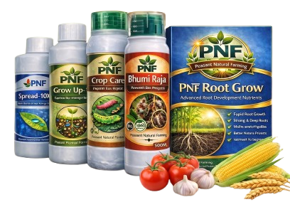 PNF Products